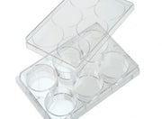 6 Well Tissue Culture Plate