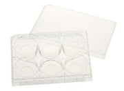 6 Well Tissue Culture Plate