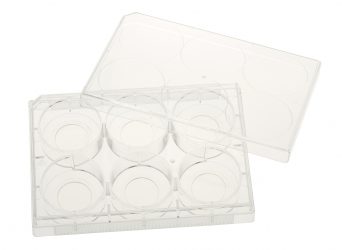 6 Well Tissue Culture Plate
