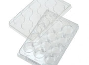 12 Well Tissue Culture Plate