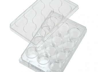 12 Well Tissue Culture Plate