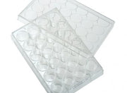 24 Well Tissue Culture Plate