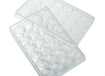 24 Well Tissue Culture Plate