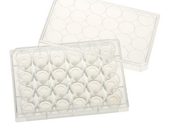 24 Well Tissue Culture Plate