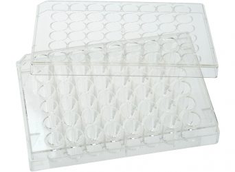48 Well Tissue Culture Plate