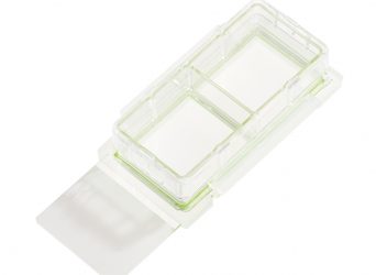 2 Chamber Cell Culture Slide,