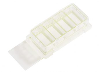 4 Chamber Cell Culture Slide,