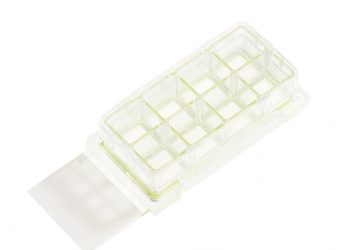 8 Chamber Cell Culture Slide,