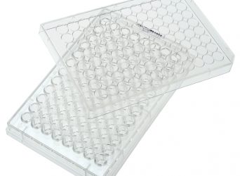 96 Well Tissue Culture Plate