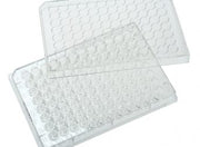 96 Well Tissue Culture Plate