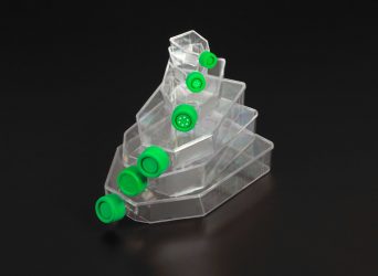 182cm2 Tissue Culture Flask