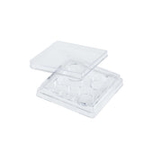4 Well Non-treated Plate with