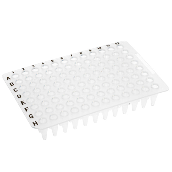 96 Well PCR Plate No Skirt, Clear, 0.2mL