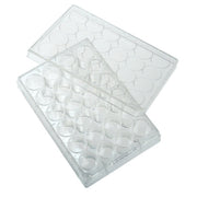 24 Well Non-treated Plate with