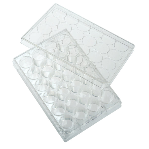 24 Well Non-treated Plate with
