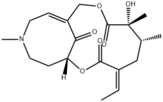 Senkirkin