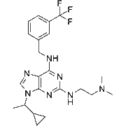 NCC007