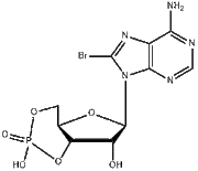 8-bromo-Cyclic AMP