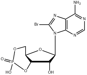 8-bromo-Cyclic AMP