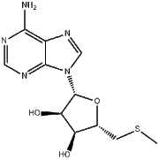 5'-Deoxy-5'-(Methylthio)adenosine