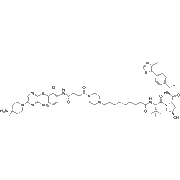 SHP2-D26