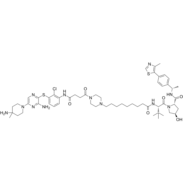 SHP2-D26