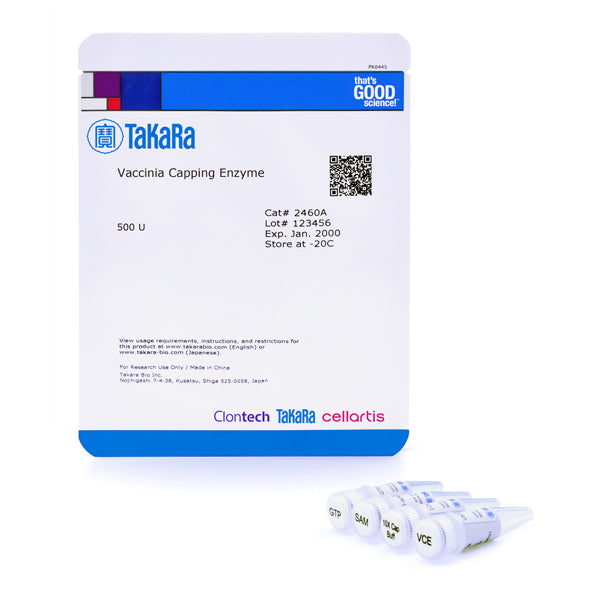 Vaccinia Capping Enzyme - mRNA and cDNA synthesis - Takara Bio