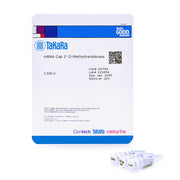 mRNA Cap 2'-O-Methyltransferase - mRNA and cDNA synthesis - Takara Bio
