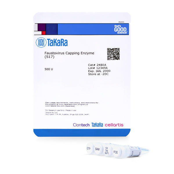 Faustovirus Capping Enzyme (S17) - mRNA and cDNA synthesis - Takara Bio