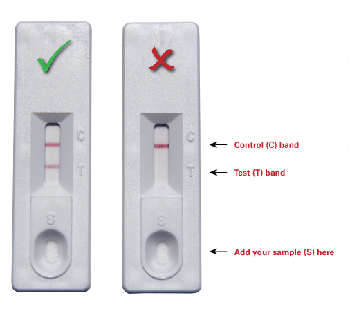 Adenovirus titration kits - Gene function - Takara Bio