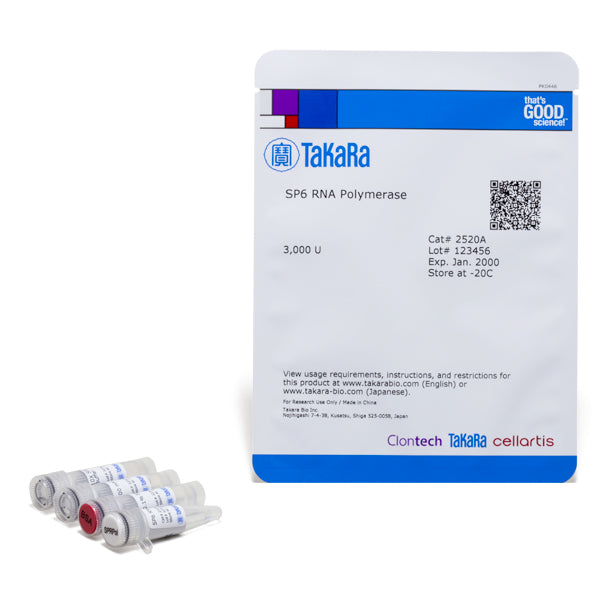 SP6 RNA Polymerase - mRNA and cDNA synthesis - Takara Bio