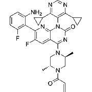 Garsorasib