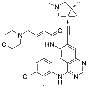 BDTX-1535