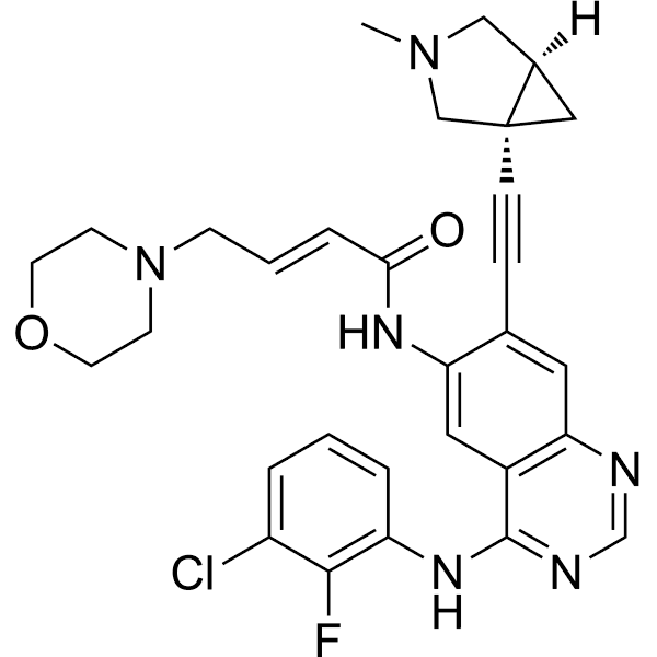 BDTX-1535