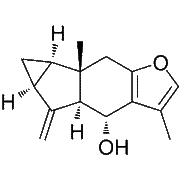 lindenenol