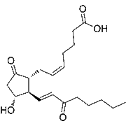 15-keto-Prostaglandin E2