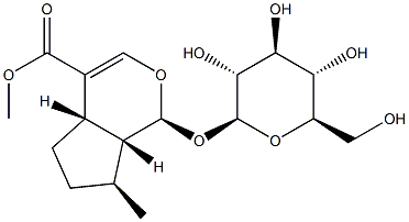 7-Deoxyloganin