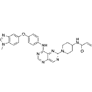 Zongertinib