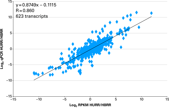 RiboGone - Mammalian—low-input ribosomal RNA removal kit for human, mouse, and rat samples - Next-generation sequencing - Tak