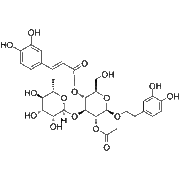 2-acetylacteoside
