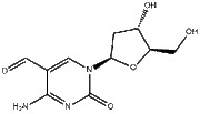 2'-Deoxy-5-formylcytidine