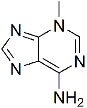 3-Methyladenine (3-MA)