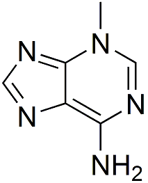 3-Methyladenine (3-MA)