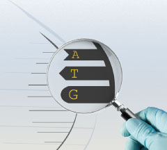 AMV Reverse Transcriptase XL - mRNA and cDNA synthesis - Takara Bio