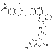 Mca-Ala-Pro-Lys(Dnp)-OH