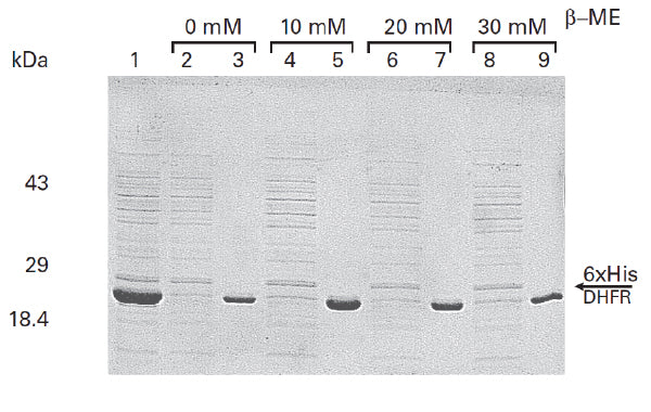 Fast, small-scale his-tagged protein purification—TALON Spin Columns - Protein research - Takara Bio