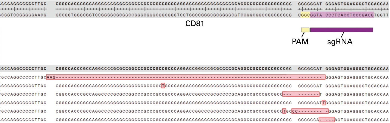 Guide-it Indel Identification Kit - Gene function - Takara Bio