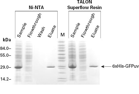 FPLC purification of his-tagged proteins—TALON Superflow Metal Affinity Resin - Protein research - Takara Bio
