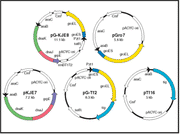 Chaperone plasmid set - Protein research - Takara Bio