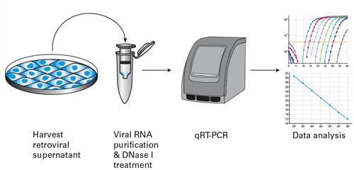 Retrovirus titration by qRT-PCR - Gene function - Takara Bio